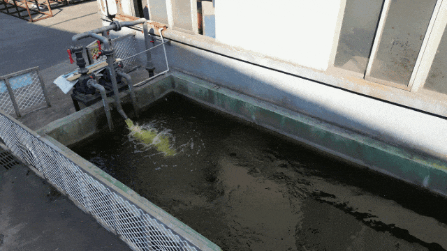 喜訊！中亞鋁業(yè)榮獲企業(yè)綠色品牌！(圖7)